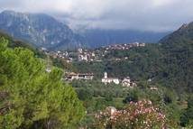 Tremosine